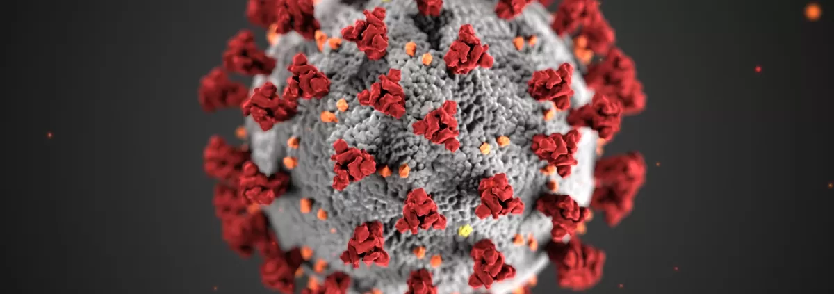 Unions and Guilds issue new Covid 19 safety guidelines 